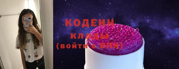 бошки Инта